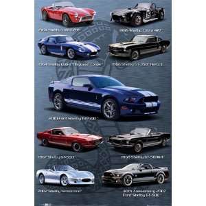  Ford Shelby Mustang History Classic Muscle Car Poster 24 x 