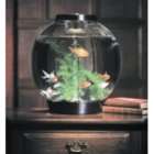 biOrb Tabletop Aquarium   1010019101