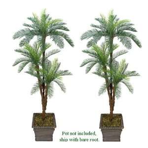  TWO 6 Cycas Tripled Artificial Palm Tree Silk Plant 