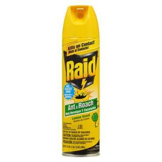 Raid Lemon Scent Ant and Roach Killer 17.5 ozOpens in a new window