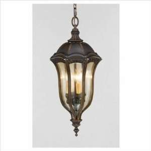  Baton Rouge 4 Light Outdoor Hanging Lantern