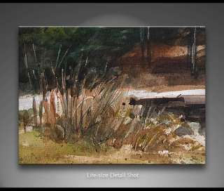 Old Shed Landscape by Audrey Bechler waldoboro maine