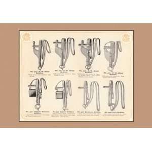  Eight Bridles 20x30 Poster Paper