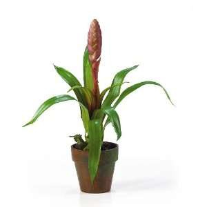  Potted Single Sword Bromeliad Silk Flower Arrangement 