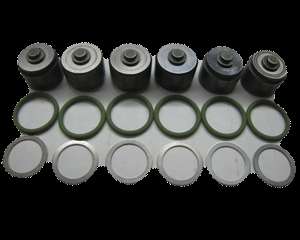     Laser Cut Delivery Valves w/ washers and Gaskets (Complete Kit