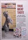 1960 burgerbits poodle dog food original old ad cmy store