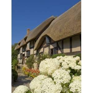 Anne Hathaways Cottage, Shottery, Near Stratford Upon Avon 