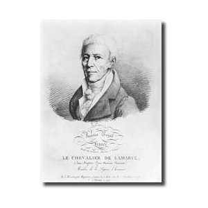  Portrait Of Jeanbaptiste De Monet 17441829 Chevalier De Lamarck 