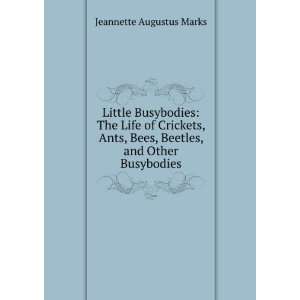   Bees, Beetles, and Other Busybodies Jeannette Augustus Marks Books
