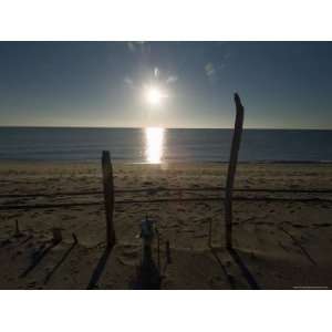  Driftwood Stuck in the Sand with Sun Setting over Block 