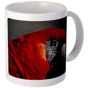  Mug (Coffee Drink Cup) Scarlet Macaw   Bird Everything 