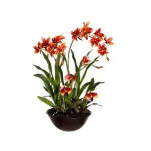   Oncidium & Ladys Slipper Orchid Silk Flower Arrangement  Rust/Green