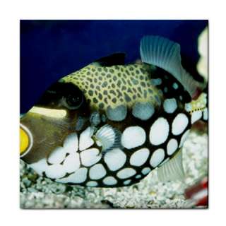 Exotic Coral Reef Tropical Fish Ceramic Tile  