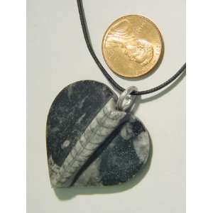   Orthoceras Nautiloid Fossil Heart Pendant Necklace Jewelry with Cord