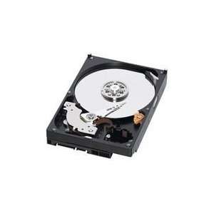   HP 160GB 7200RPM SATA HARD DISK DRIVE