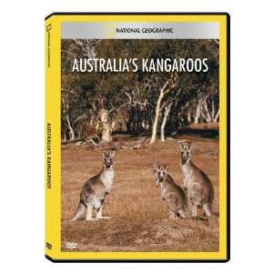  National Geographic Australias Kangaroos DVD Exclusive Software
