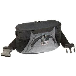   review of Lowepro D Res Belt Pack AW Digital Camera Bag