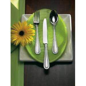 Ricci Argentieri Rivets Polished Stainless 5 Piece Place Setting 