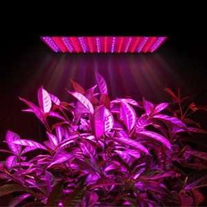    Blue Red 225 LED Ultra Thin Grow Light Panel