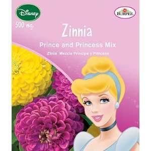  Disney Princess, Zinnia, Prince and Princess Mix 1 Pkt 