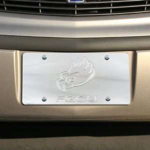    Florida Gulf Coast Eagles Silver Mirrored License Plate Automotive