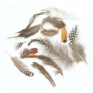  Natural Feather Assortment   Feather Assortment, frac12 