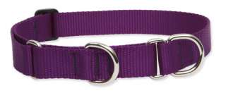   brand solid color combo dog collar in YOUR CHOICE OF SIZE AND COLOR