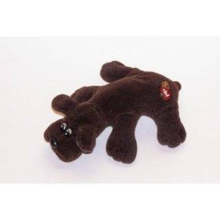 Original 9 Newborn Pound Puppies ~ Dark Brown Labrador Retriever