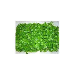 Cress Organic Sprouting Seeds 1 Pound  Grocery & Gourmet 