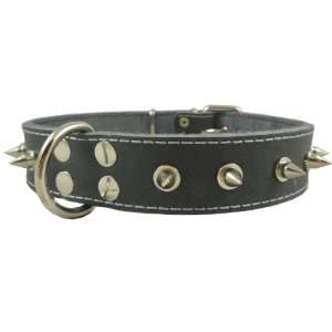  Real Leather Grey Spiked Dog Collar Spikes, 1.5 Wide 