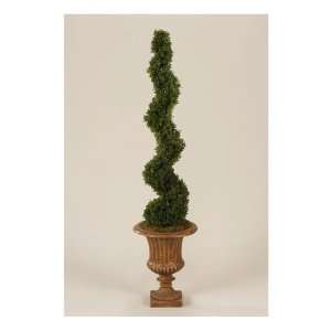 Tea Leaf Spiral Topiary in Urn 