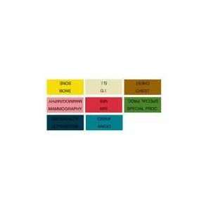 Ames Large Laminated Examination Labels, 1 1/4 x 3, GU, Orange, 500 