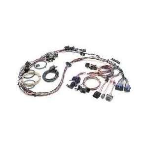  Painless Fuel Injection Wiring Harness for 1990   1992 